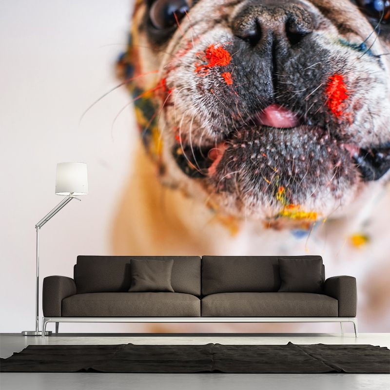 Horizontal Photography French Bulldog Mural Stain Resistant Wall Art for Bedroom