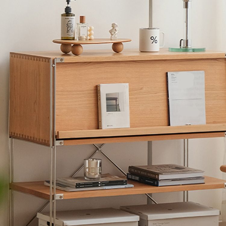 Industrial Accent Cabinet with 2 Shelves and 1 Door in Solid Wood