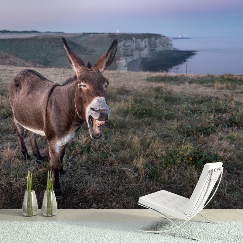 Donkey Mural Wallpaper Wall Covering Mildew Resistant for Sleeping Room