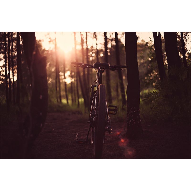 Bicycle Mural Wallpaper Modern Transportation Waterproofing Wall Covering