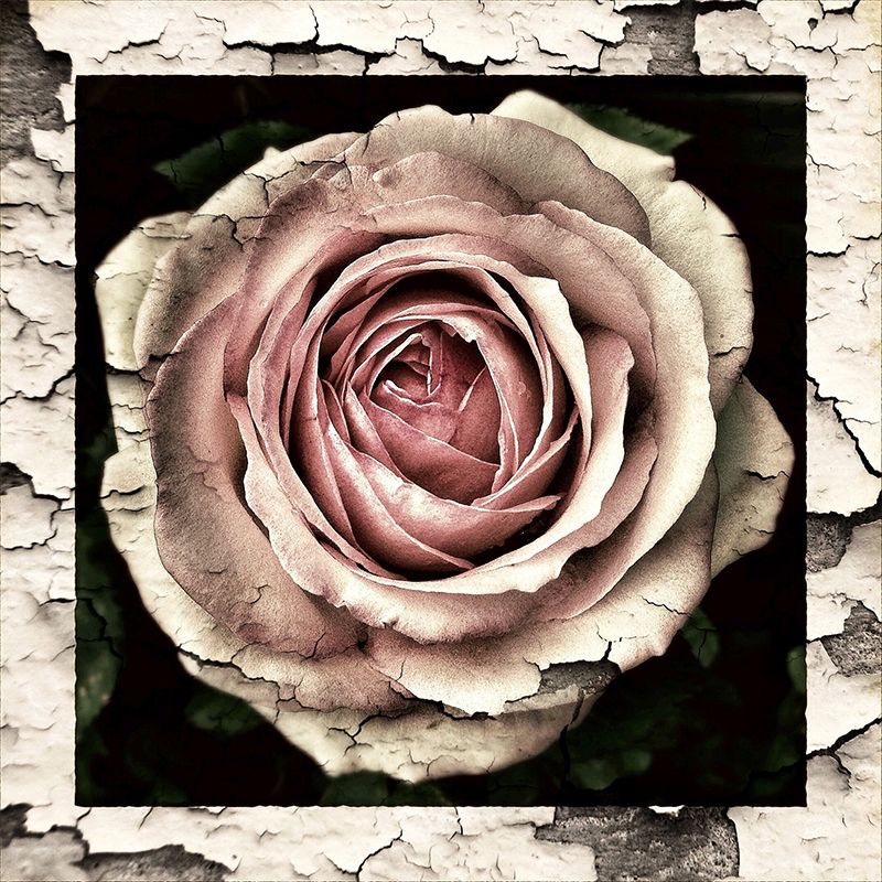 Roses Photography Mural Wallpaper Decorative Bedroom Wall Mural