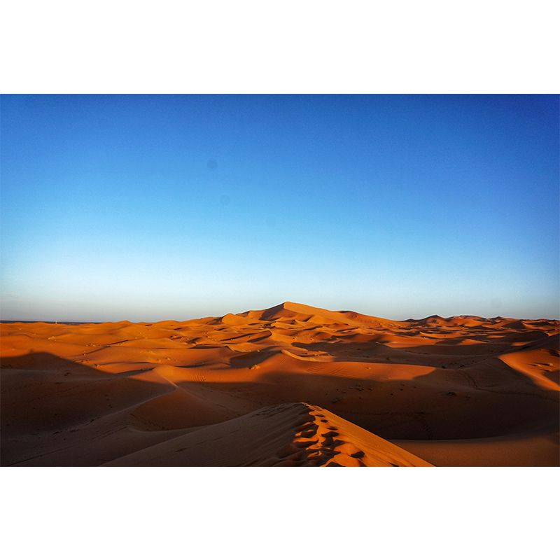 Soft Color Desert Landscape Mural Decal Modern Wall Covering for Sitting Room