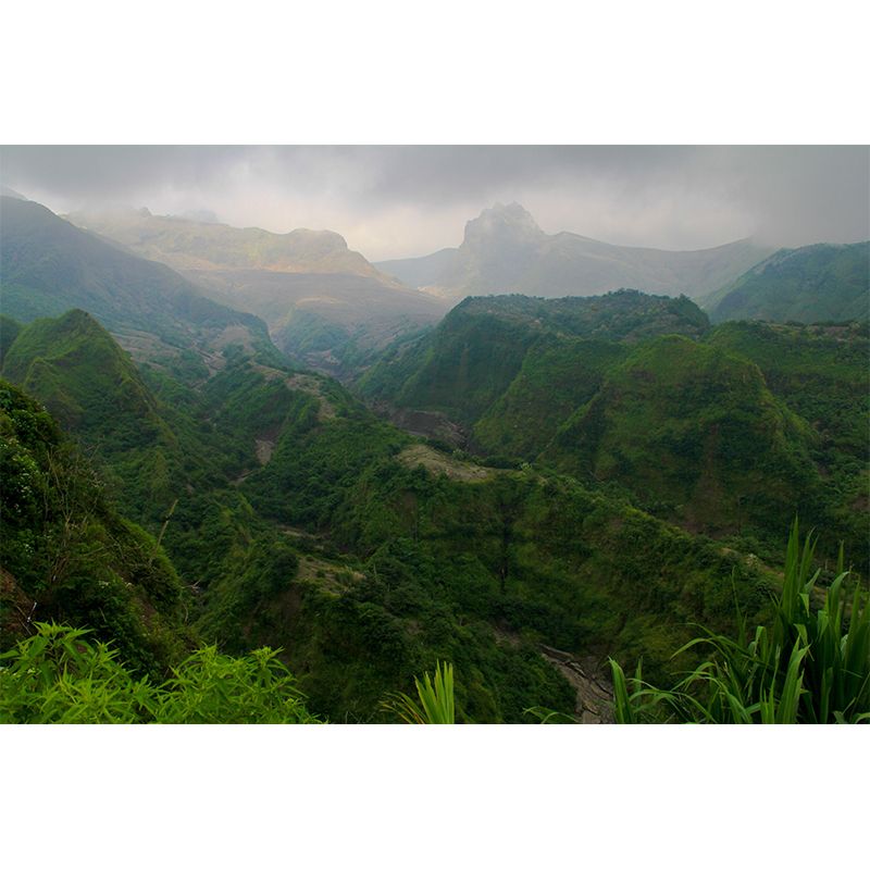 Snow Mountain Wall Mural Wallpaper Photography Mildew Resistant for Home Decor