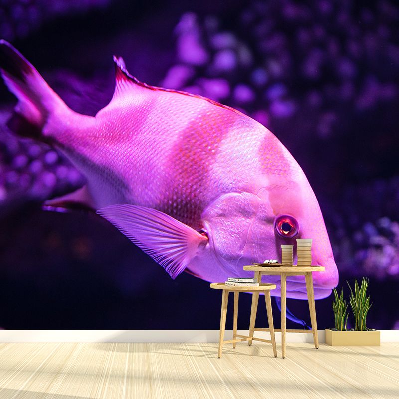 Sea Creatures Wall Mural for Sleeping Room, Water Resistant, Made to Measure