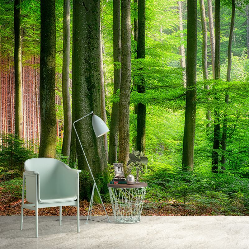 Forest Landscape Wall Mural Moisture Resistant Wall Decor, Personalized Size