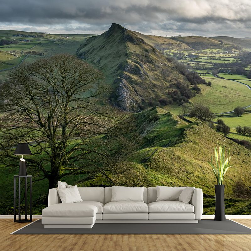 Customized Moisture Resistant Mural Wallpaper Decal Mountain in Soft Color