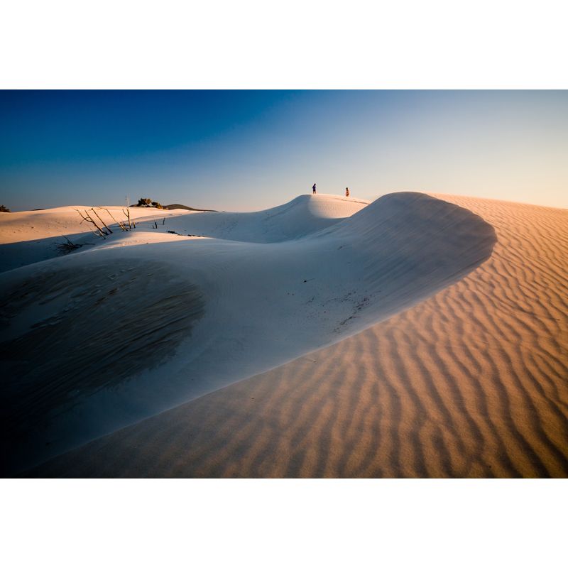 Modern Backlit Dune Scenery Mural Non-Woven Moisture Resistant White Wall Art for Home