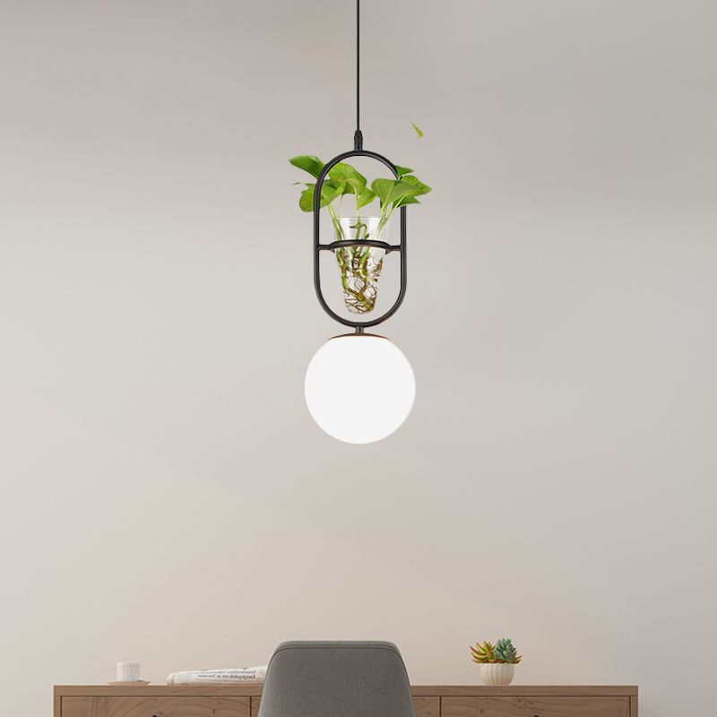 Elliptical Iron Pendant Lamp Loft 1 Light Bedroom Hanging Light in Black/Grey/Gold with Sphere Cream Glass Shade and Plant Cup
