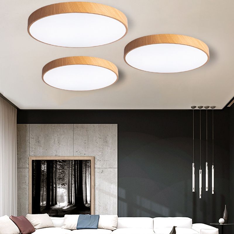 Modern Style Circle Shape Ceiling Lighting Metal 1 Light Ceiling Lighting for Living Room