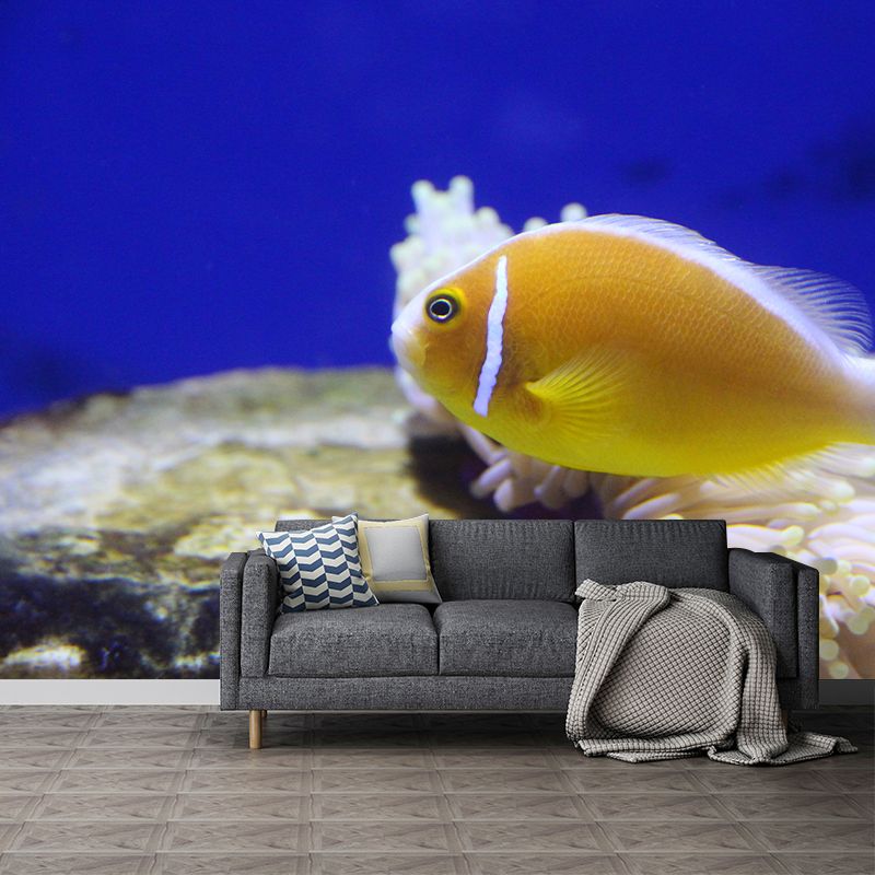 Decorative Undersea Photography Wallpaper Living Room Wallpaper