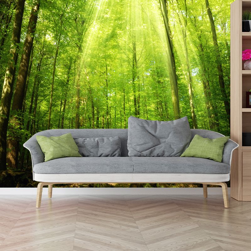 Waterproof Deep Jungle Mural Wallpaper Customized Size Modern Wall Covering for Home Decoration