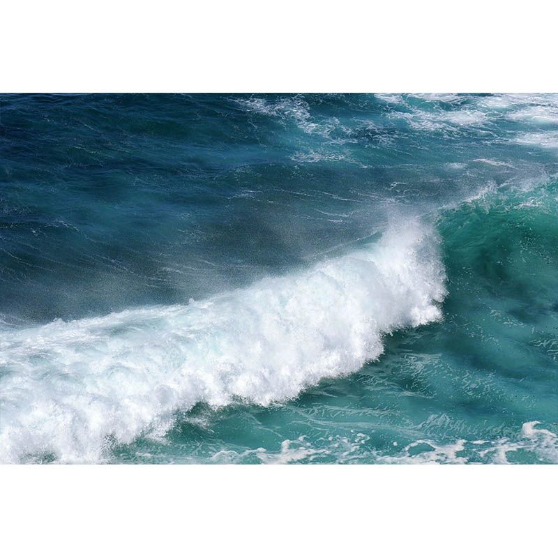 Non-Pasted Tropical Living Room Photography Wall Mural Sea Pattern