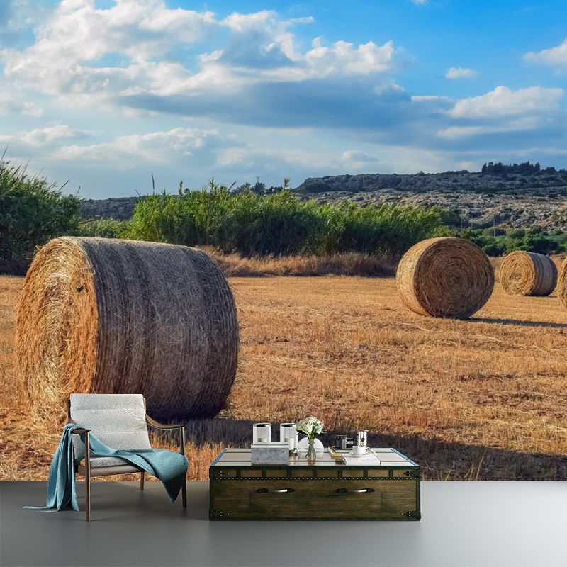 Contemporary Straw Bale Mural Wallpaper Moisture Resistant Living Room Wall Covering