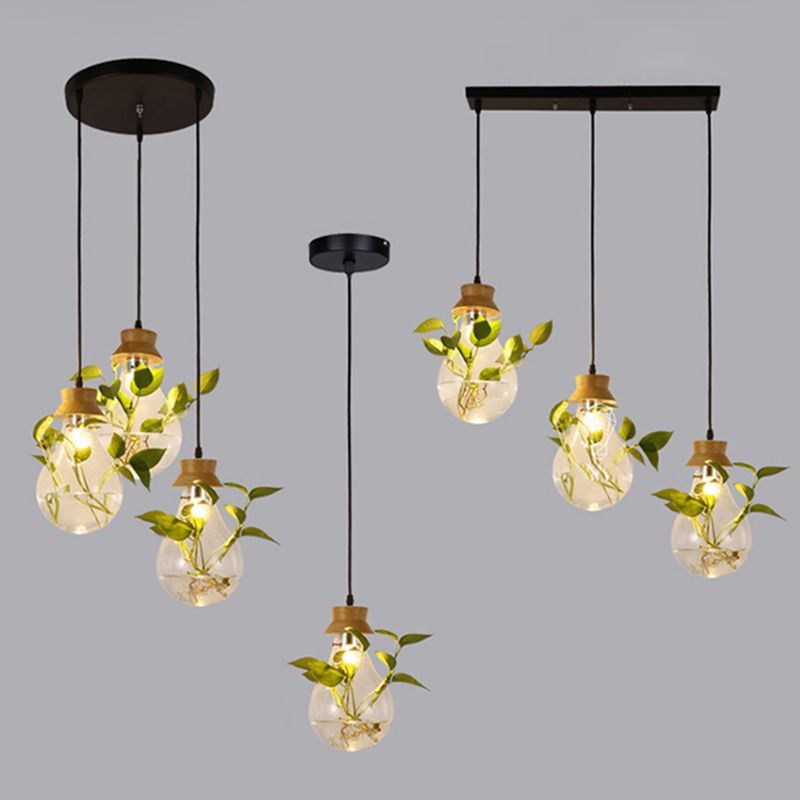 Contemporary Design Bulb Glass Shade Hanging Lamp Hydroponics Plant Drop Pendant for Coffee Shop