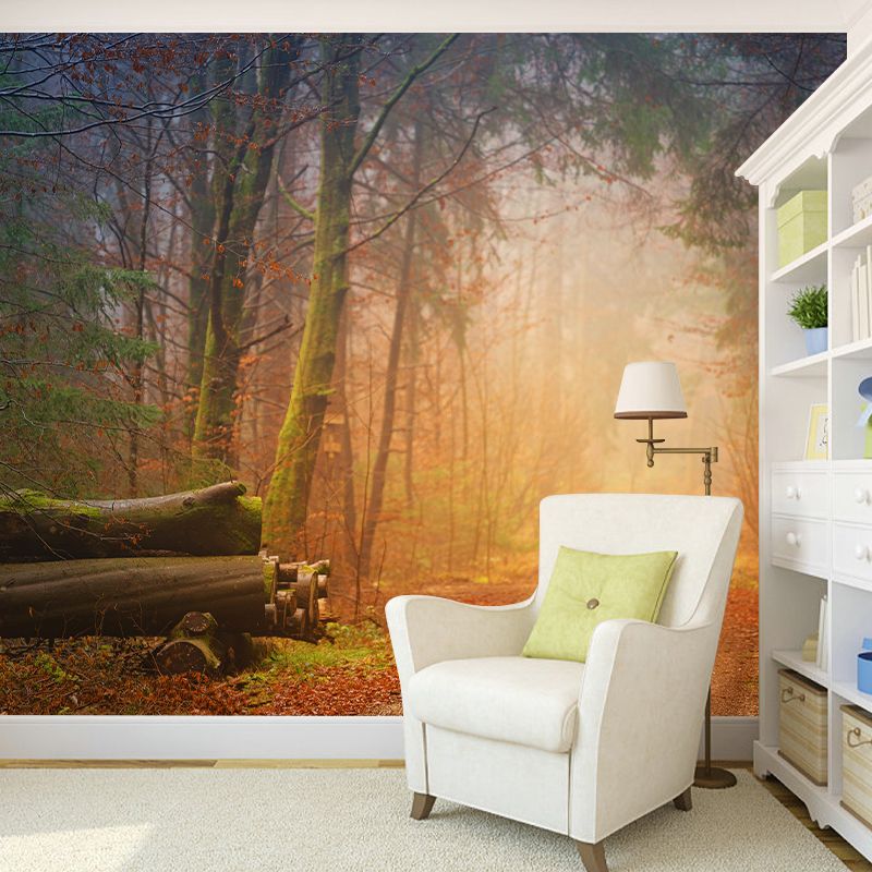 Photography Forest Environment Friendly Wall Mural Drawing Room Wallpaper