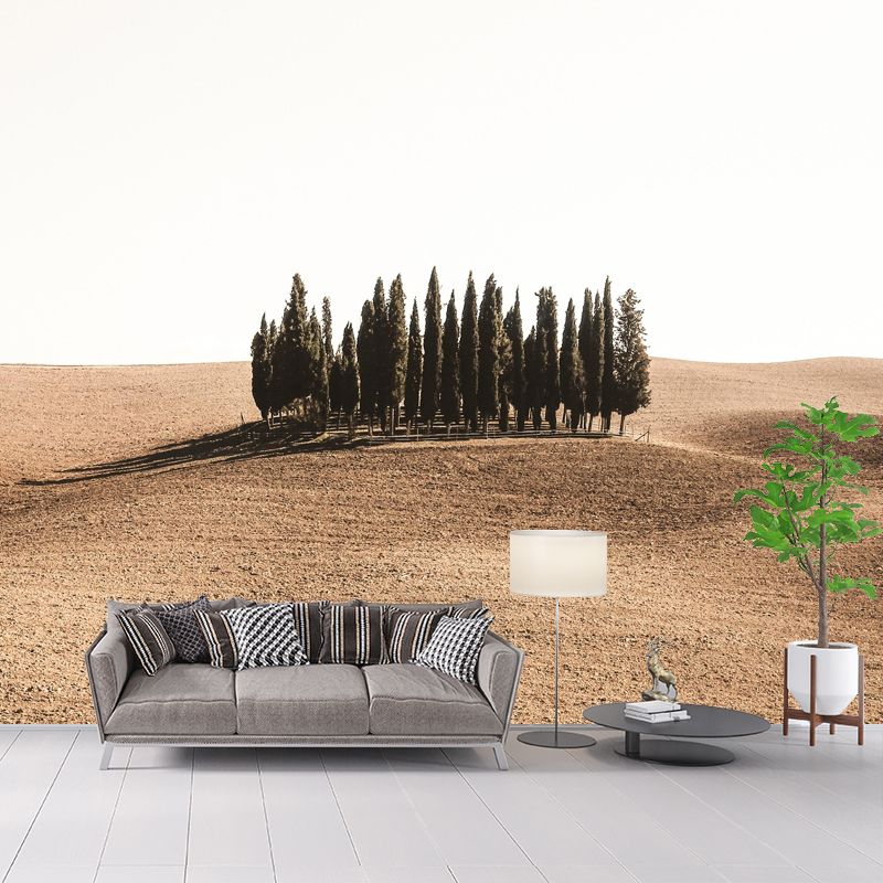 Soft Color Desert Mural Decal Nature Scenery Modern Mildew Resistant for Room