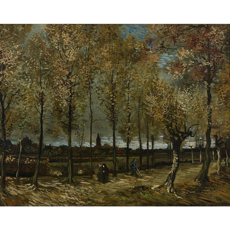Peinture murale décorative de couleurs vives, écologique pour la décoration murale
