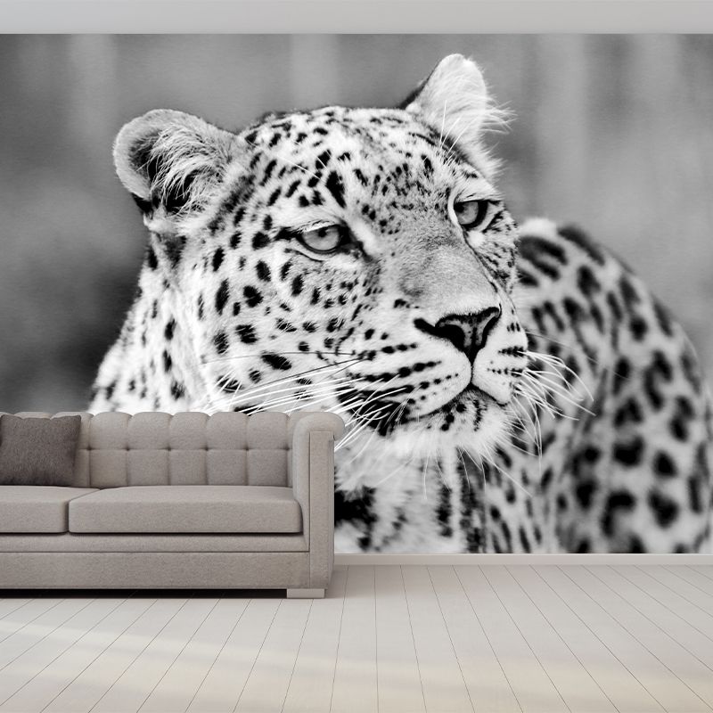 Wild Animal Leopard Mildew Resistant Wall Art Decor for Sitting Room, Made to Measure