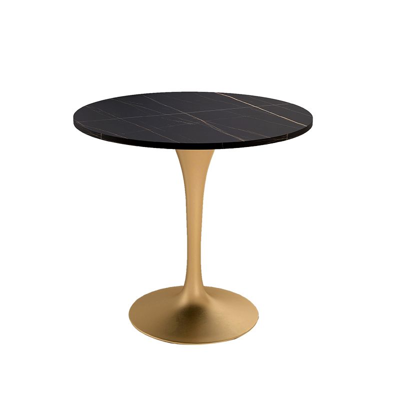 Modern Style Dining Table Sintered Stone Round Tulip Table for Dining Room