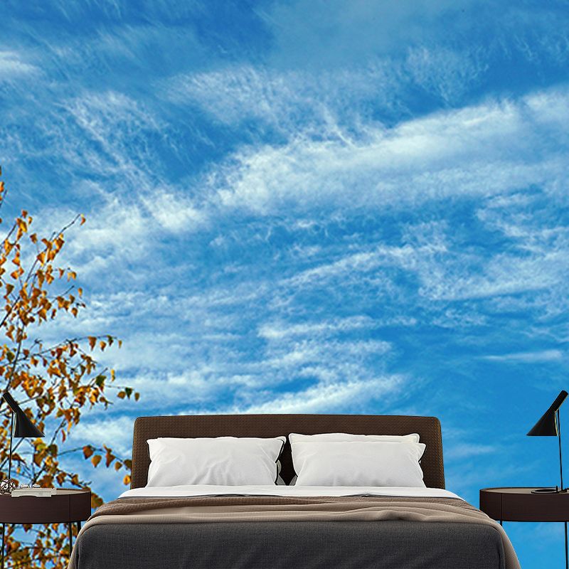 Customized Sky Wall Mural Photography Sleeping Room Wall Mural