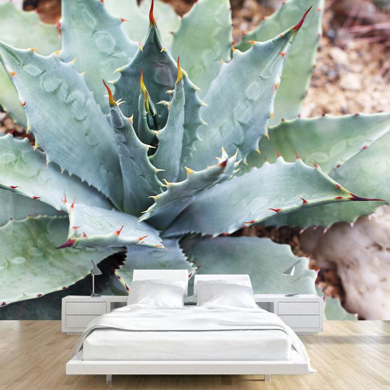 Agave Plant Murals Contemporary Style Photography for Bedroom Home Decor