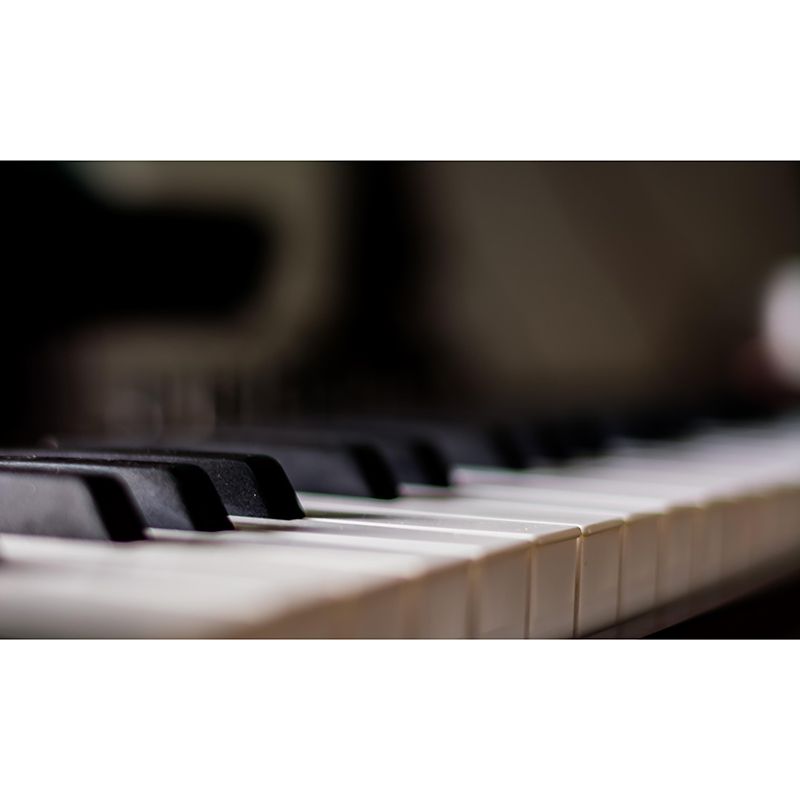 Stain Resistant Piano Hobby Mural Decorative Wallpaper for Home Decor