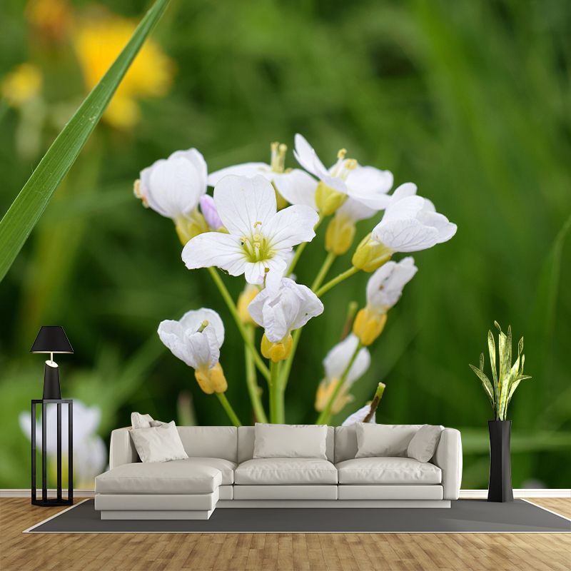 Customized Contemporary Scumwort Mural Mildew Resistant for Sitting Room Bedroom