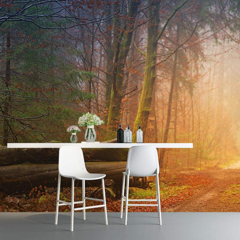 Photography Forest Environment Friendly Wall Mural Drawing Room Wallpaper