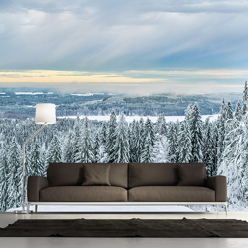 Snow Mountain Forest Mural Horizontal Photography Dining Room Wall Mural