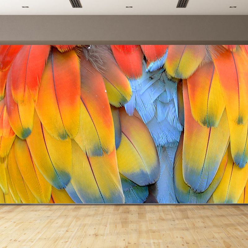 Parrot Feathers Mural Wallpaper for Sitting Room Colorful, Custom Size Available