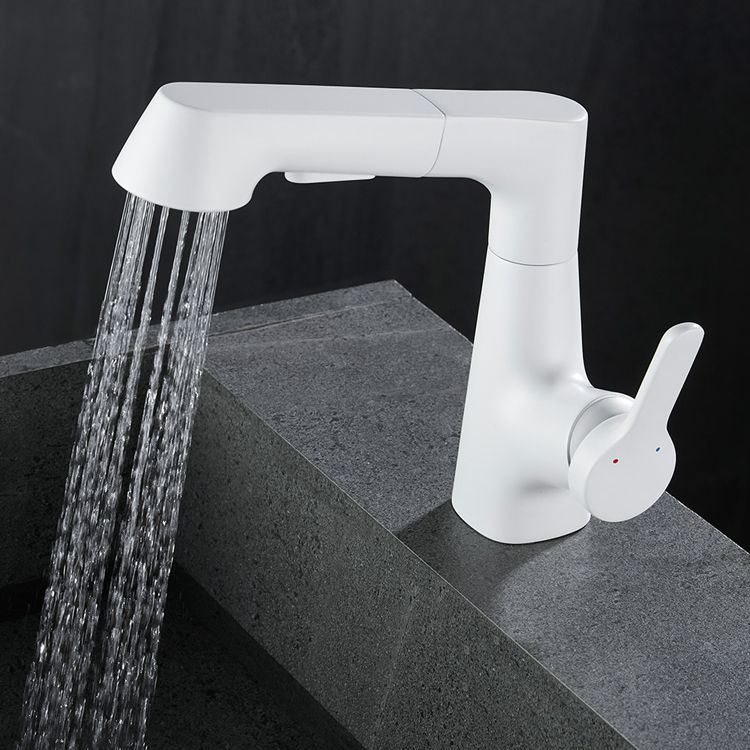 Brass Bathroom Sink Faucet with 1-Handle Swivel Spout Sink Faucet