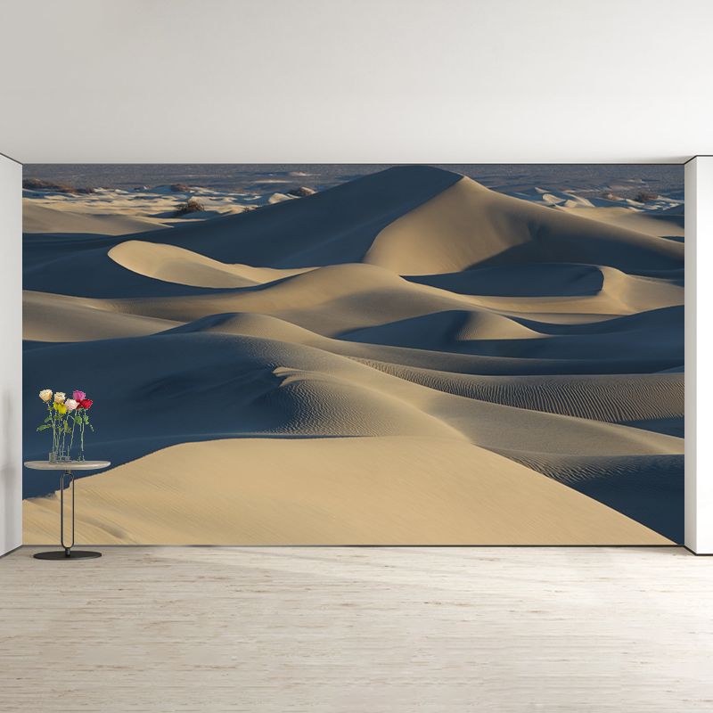 Barren Area Photography Desert Mural Modernism Wall Covering for Decoration