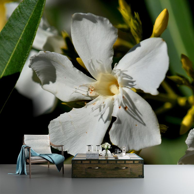 Customized Oleander Flower Wall Mural Horizontal Photography for Sleeping Room