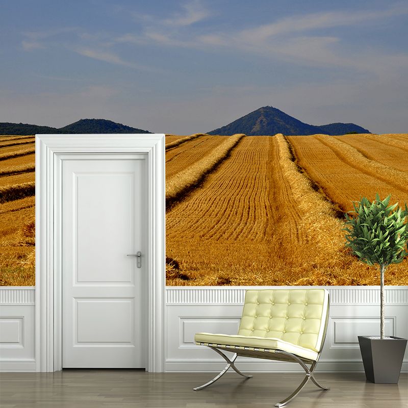 Contemporary Photo Wheat Field Mural Soft Color Stain Resistant Wall Art for Dining Room