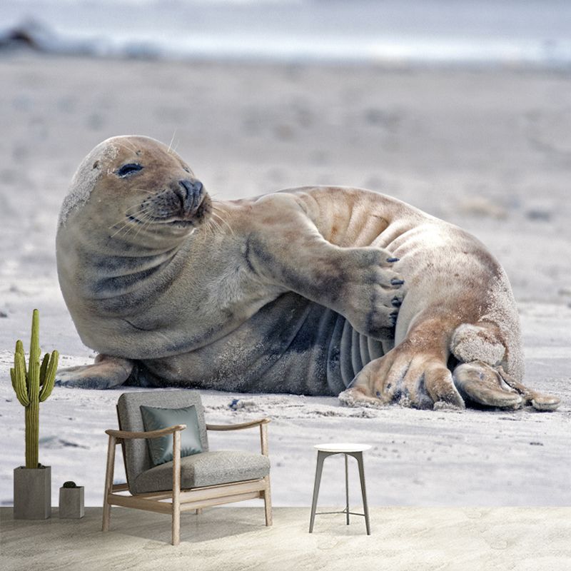 Sea Seal Wall Covering for Living Room Bedroom Water Resistant, Made to Measure