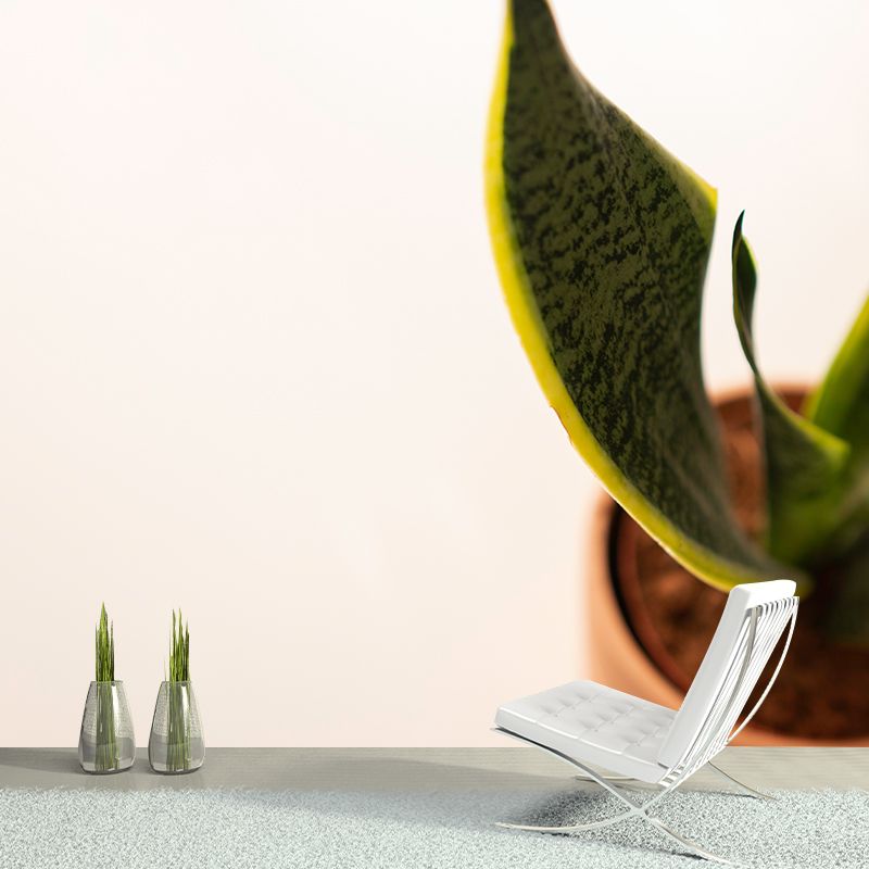 Plant Indoor Decorations Mural Wallpaper for Sleeping Room, Mildew Resistant