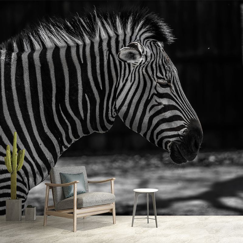 Zebra Wall Decal Animal Home Art Interior Decoration, Moisture Resistant