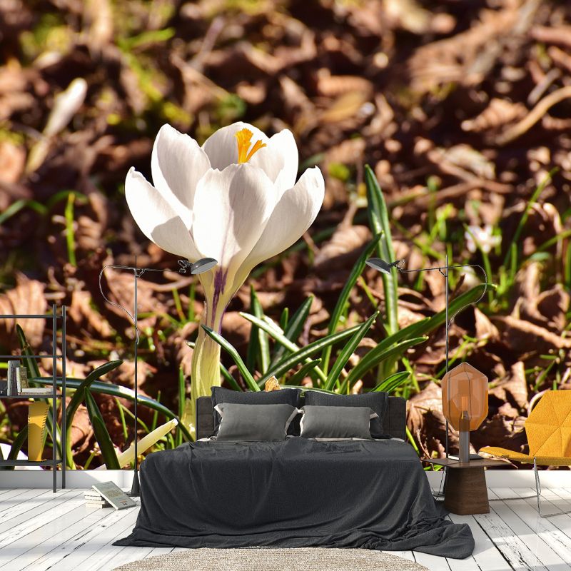 Blooming Saffron Environment Friendly Mural Wall Covering for Sleeping Room