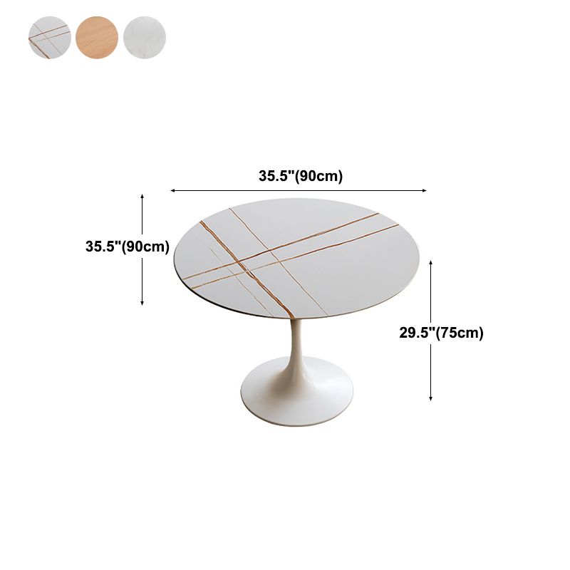 Round Top Dining Table Contemporary Table with Pedestal Base