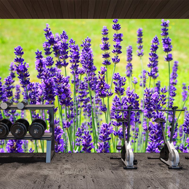 Blooming Lavender Wall Mural Decal for Living Room Bedroom, Stain Resistant
