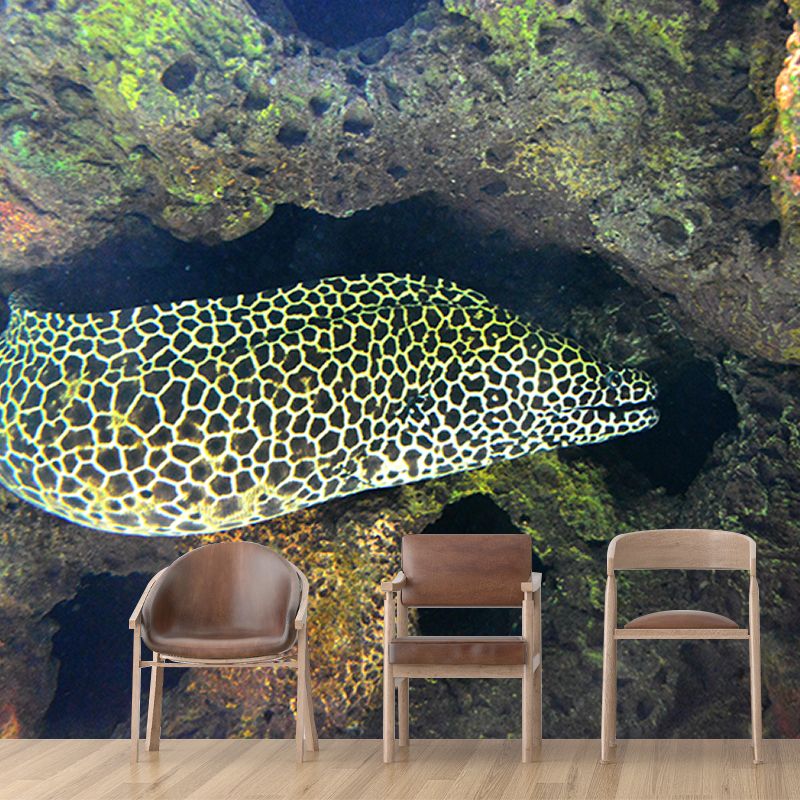 Photography Wall Mural Stain Resistant Environmental Bathroom Fish Wallpaper