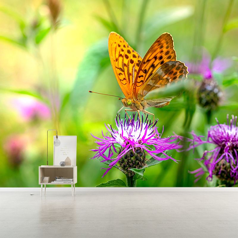 Silver Washed Fritillary Mural Contemporary Photography for Living Room Decoration