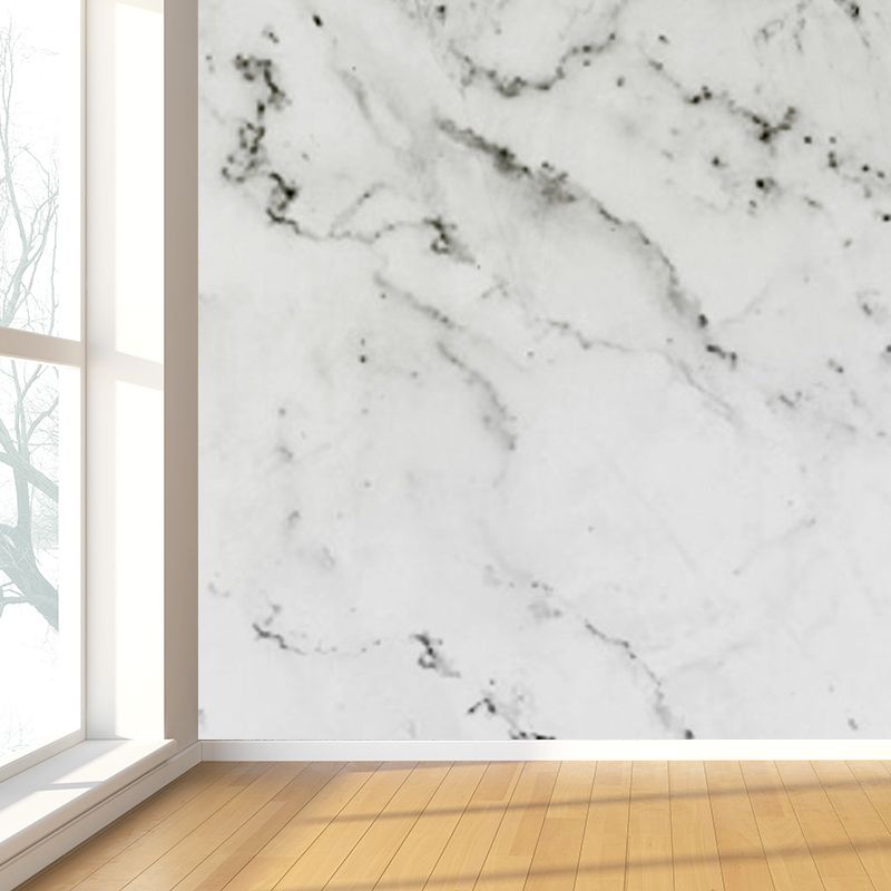 Light Color Abstract Print Mural Wallpaper Moisture-Proof Wall Art for Dining Room