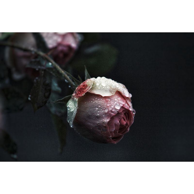 Customized Rose Flower Wall Mural Horizontal Photography for Sleeping Room Decoration