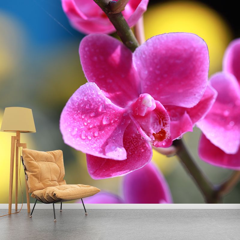 Cymbidium Murals for Sleeping Room Personalized Wall Decor, Moisture Resistant