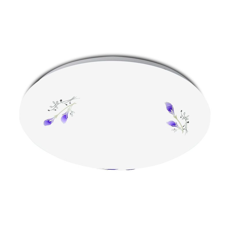 Modern Flush Mount Ceiling Light LED Lighting Indoor Foyer Bedroom Light