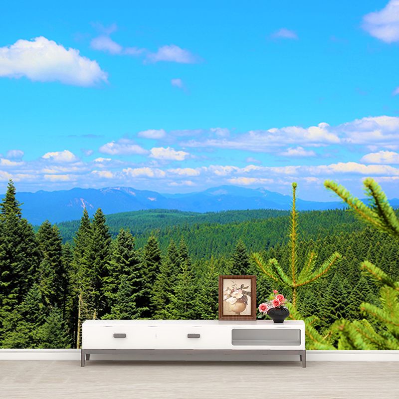 Forest Mountain Style Forest Mural Horizontal Photography Sitting Room Wall Mural