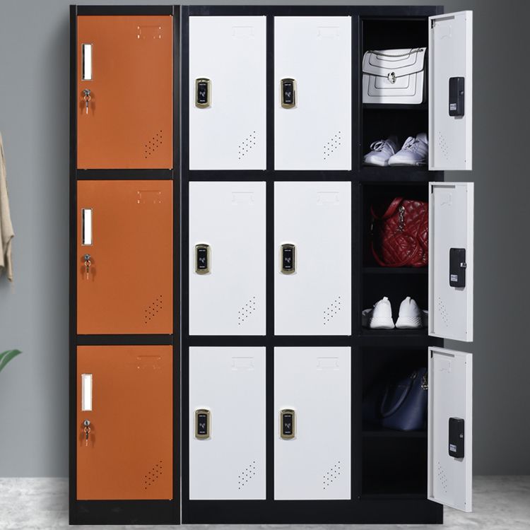 Metal Matte Finish Cabinet Contemporary Storage Cabinet with Hinged Door