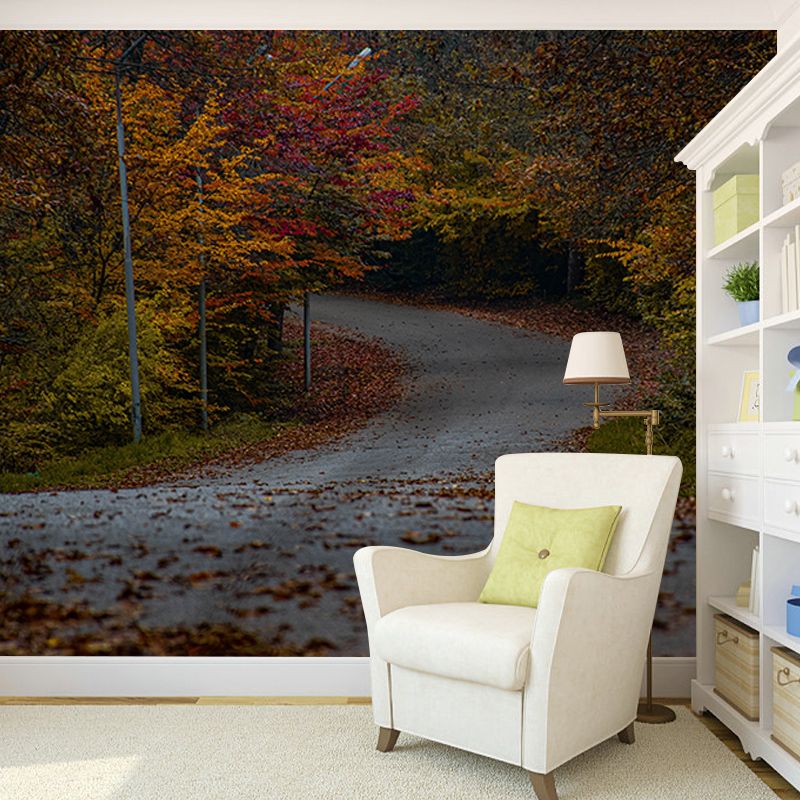 Beautiful Photography Mural Wallpaper Forest Path Indoor Wall Mural