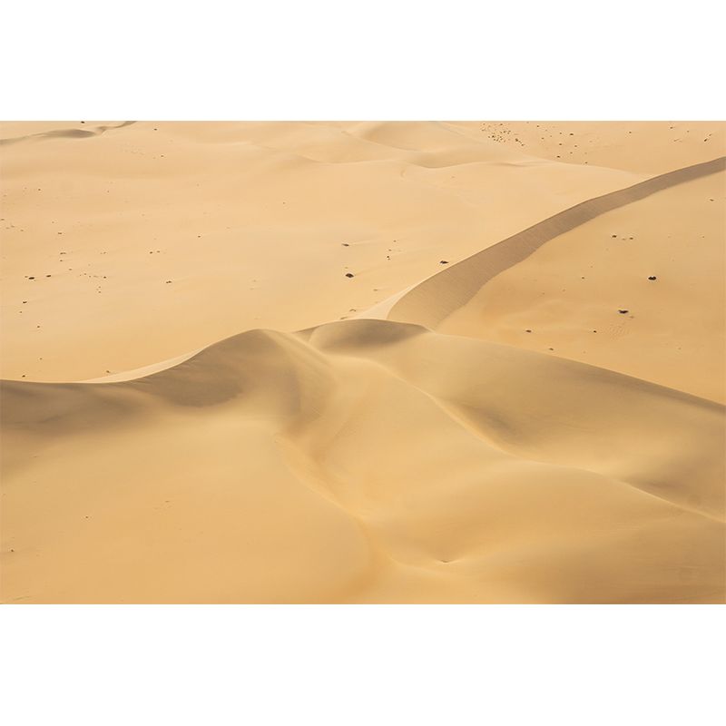 Contemporary Photography Style Desert Mural Wallpaper Mildew Resistant Wall Covering